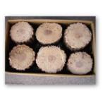  спускной клапан z* ферма [... магазин * большой сон ] дуб острейший материал LL размер ( диаметр 14cm и больше ) 1 шт. 