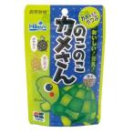 [ Kyorin ]. это . черепаха san 40g *.. пачка рейс .. почтовая отправка делаем 