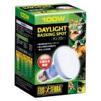 [jeks] солнечный свечение автобус King спот лампа 100W PT2133