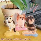 写真で作る 犬 オリジナル 「 MYフォト ダイカット アクリルスタンド 」 アクスタ 切り抜き 犬 ペット以外もOK ( 同じ仕様で追加なら+@1,100円 )