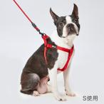 犬用ハーネス、胴輪、リード