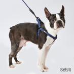犬用ハーネス、胴輪、リード