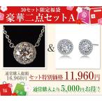 2025年福袋 ネックレス ピアス レディース 福袋 豪華二点セットA ギフト 5セット限定