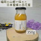 日本蜜蜂　百花蜂蜜　350g　天然生�