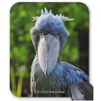 ハシビロコウのマウスパッド：フォトパッド（ 世界の野鳥シリーズ ） (F)