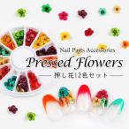 ネイル　ジェルネイル　押し花12色セット メール便可