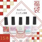 福袋 超得 8mlジェル福袋 15本 マグネットジェル トップジェル ベースジェル HAPPYBAG ぽっきり カラージェル ジェルネイル ジェル プチプラ メール便送料無料