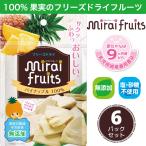 フリーズドライフルーツ 無添加 パ�