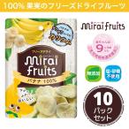 フリーズドライフルーツ 無添加 バナナ12g×10パック 離乳食にも