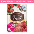 無添加 ドライフルーツ 砂糖不使用 いちご 10g フリーズドライ 離乳食 お菓子 赤ちゃん ミライフルーツ mirai fruits ポイント消化