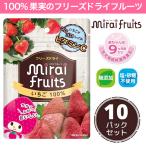 フリーズドライフルーツ 無添加 いちご 離乳食 防災食品 10g×10パックセット お子様に大人気