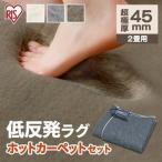 ホットカーペット 2畳 ラグ セット 本体 電気カーペット 折り畳み カーペット クッションラグ 低反発タイプ アイリスオーヤマ CRTE-1818