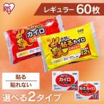 カイロ 貼る 貼るタイプ 60枚 使い捨てカイロ 使い捨て 防寒 腰 脇 背中 冬 持ち運び 寒さ対策 あったか アイリスオーヤマ ぽかぽか家族 PKN-60HR 新生活