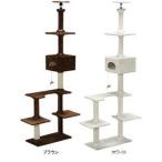 キャットタワー 猫タワー キャットランド キャットタワー 天井突っ張りタイプ CLD-240B ブラウン・ホワイト アイリスオーヤマ 猫用品 猫用玩具 おもちゃ