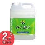 緑の魔女 キッチン キッチン業務用 キッチン用洗剤 5KG 2本セット ミマスクリーンケア (D) 新生活