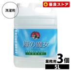 ショッピング洗濯機 洗濯洗剤 緑の魔女 業務用 5kg 3本セット まとめ買い 液体洗剤 ミマスクリーンケア 洗剤 洗濯 パイプクリーナー 衣類用洗剤 手肌に優しい 弱アルカリ性 新生活