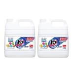 洗濯洗剤 洗剤 4kg 2個セット 液体 ト