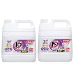 洗濯洗剤 洗剤 4kg 2個セット 液体 トップ 詰め替え 業務用 液体洗剤 LION ライオン トップクリアリキッド抗菌 (D)