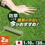 人工芝 1m ロール 2個セット 人工芝マット DIY 庭 幅1M 芝生 リアル人工芝 防草人工芝 1m×10m 芝丈30mm RP-30110 アイリスソーコー
