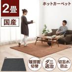ホットカーペット 2畳 本体 ラグ カーペット おしゃれ 電気カーペット ホットマット 電気マット 暖房 足元 1人用 保温 国産電気カーペット本体2畳 WHC-205