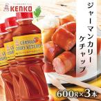 (3本)ジャーマンカリーケチャップ ケンコーマヨネーズ (D)