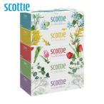  Scotty салфетка цветок box 250 комплект (500 листов ) 5 коробка упаковка 41331 (D) отметка ..