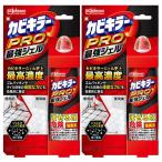 (2個セット)洗浄剤 カビ取りジェル カビ取り剤 カビキラー PRO 最強ジェル 100g カビキラー