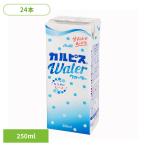 karupi Skull pis вода 250ml 24шт.@karupis бумага упаковка karupis вода e рубин 