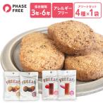 非常食 お菓子 クッキー ようかん 4種