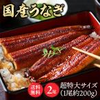 ショッピングうなぎ 国産 (2尾)特大鰻（約200g/尾） Tokka (代引不可)(TD)