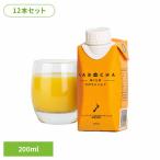 【訳有】【賞味期限：2026/5/30】かぼちゃミルク 200ml 12本 プラントベース 植物性飲料 コレステロールゼロ 着色料 不使用 かぼちゃ飲料 料理 KABOCHA MILK