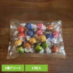 リンツ リンドール スイス ミルク チョコレート クリスマス バレンタイン ギフト 詰め合わせ お菓子 リンドール１７ｐアソート リンツ (メール便)