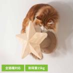  кошка walk кошка подножка кошка сопутствующие товары товары для домашних животных кошка мебель кошка bed орнамент домашнее животное симбиоз кошка часть магазин прокат рекомендация TWINKLESTAR MZ0044