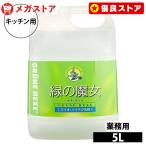 ショッピング食器洗剤 緑の魔女 洗剤 食器用洗剤 食器洗剤 キッチン業務用 5L キッチン 業務用 家庭用 液体洗剤 汚れ 落とす パイプクリーナー 日用品 ミマスクリーンケア 新生活