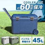 クーラーボックス 45L 大型 ハード 保冷 溶けにくい 釣り 高保冷 キャンプ BBQ 海水浴 花見 運動会 保冷バッグ IS-HCB45 (D)