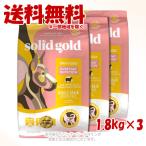 《ポイント5倍》ソリッドゴールドフ...