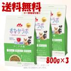 スーパーゴールドおなかラボシニア犬...