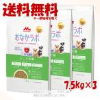 スーパーゴールドおなかラボシニア犬...