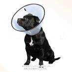 VET цвет XL прозрачный [ фэнтези world ]