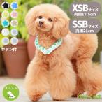 クールリング ボタン付き SSBサイズ 内径約21cm 犬用 2023 SUO 28°ICE COOL RING