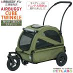 NewColor!!AIRBUGG...