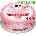 たまの伝説 長生きしてね たま ( 70g*48コセット )/ たまの伝説 ( キャットフード )