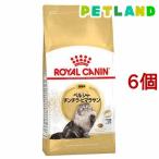 ショッピングフード ロイヤルカナン FBN ペルシャ・チンチラ・ヒマラヤン 成猫用 ( 2kg*6コセット )/ ロイヤルカナン(ROYAL CANIN) ( キャットフード )