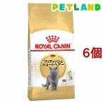 ショッピングフード ロイヤルカナンFBN ブリティッシュ ショートヘアー 成猫用 ( 2kg*6コセット )/ ロイヤルカナン(ROYAL CANIN) ( キャットフード )