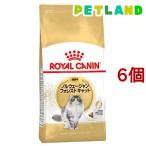 ショッピングロイヤルカナン 猫 ロイヤルカナンFBN  ノルウェージャン フォレストキャット 成猫 ( 2kg*6コセット )/ ロイヤルカナン(ROYAL CANIN) ( キャットフード )