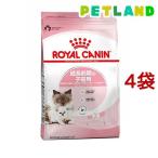 CJi tB[CwXj[gV }U[xr[Lbg ( 4kg*4RZbg )/ CJi(ROYAL CANIN) ( Lbgt[h )