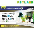 その他熱帯魚、アクアリウム用品