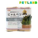  кошка . культивирование комплект ...beji заправка ( 2 штук )