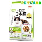 猫用ドライフード