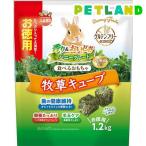 バニーグレード 牧草キューブ ( 1.2kg )/ ミニマルランド